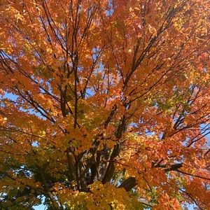 Meet your Posher, Debra